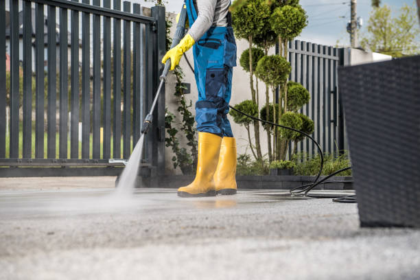 Best Commercial Building Pressure Washing  in The Meadows, FL