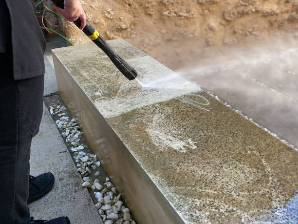 Best Power Washing Near Me  in The Meadows, FL