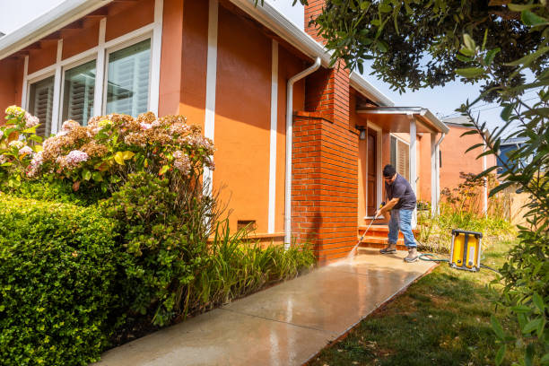 Best Pressure Washing Company Near Me  in The Meadows, FL