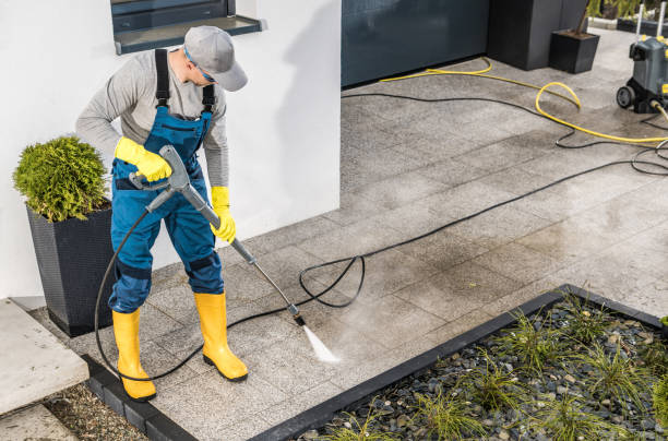 Best Residential Pressure Washing Services  in The Meadows, FL