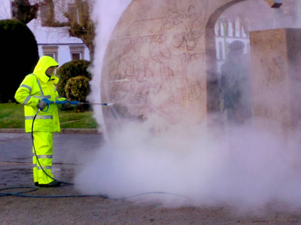 Best Roof Power Washing Services  in The Meadows, FL