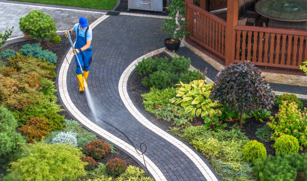 Best Local Pressure Washing Services  in The Meadows, FL