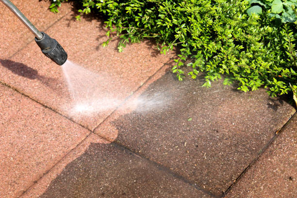Best Exterior Home Cleaning  in The Meadows, FL